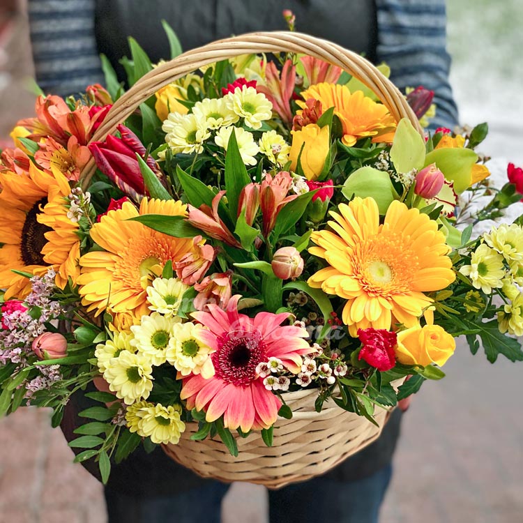 Корзина хризантем с подсолнухом (в руках)