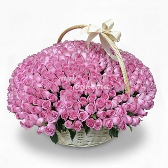 501 розовая роза в корзине