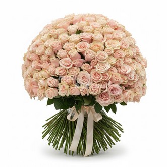 Букет из 301 кремовой розы Букет из 301 кремовой розы