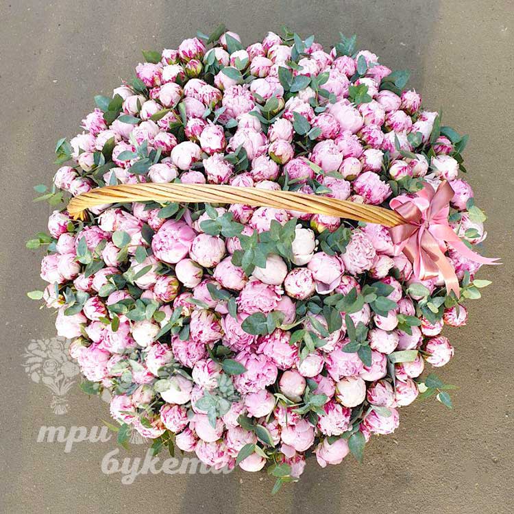 201 пион в корзине (вид сверху)