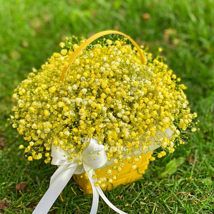 Желтые гипсофилы в корзине (на фоне травы)