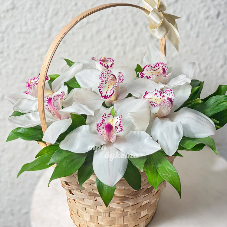 Корзина белых орхидей с рускусом (крупный план)