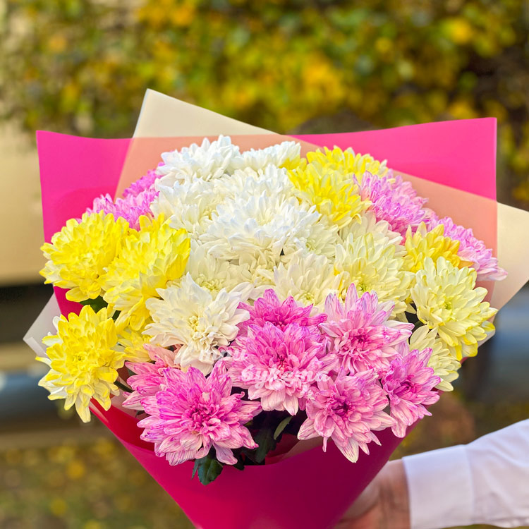 Розовый букет из 9 разноцветных хризантем (крупный план)