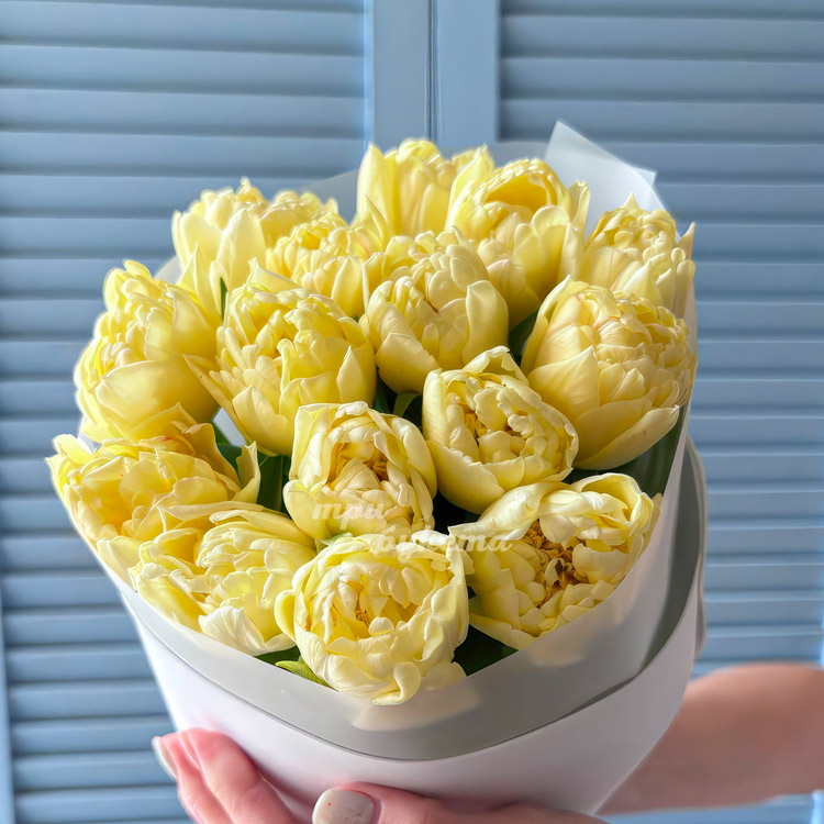 Букет 15 пионовидных желтых тюльпанов (крупный план)