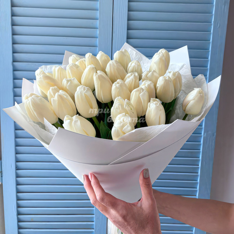 Букет 35 классических белых тюльпанов (в руках флориста)