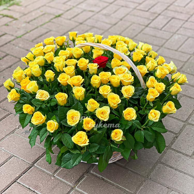 Корзина из 100 желтых и 1 красной розы (на брусчатке)